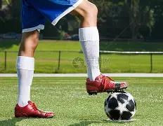 邵阳武冈成,功举办湖南,省第六届中,8868体育平台,8868体育官方网站,8868体育登录入口,8868体育app下载