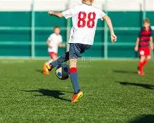 安国市职工,篮球赛事圆,满收官,8868体育平台,8868体育官方网站,8868体育登录入口,8868体育app下载