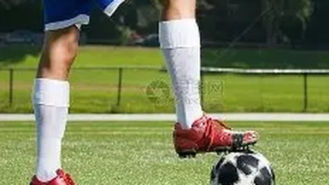 8868体育 资讯 105641 ycw