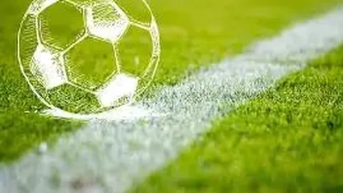 “马龙助力男团夺冠 “速度之王”苏炳添告别赛场”