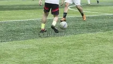 土壤改良，生物炭显神通