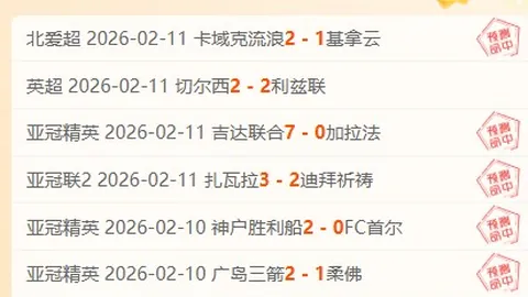 塞內加爾0-2敗於荷蘭，門迪兩度失誤致荷蘭獲勝