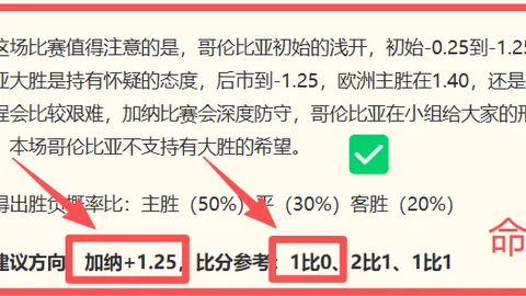 巴西甲前瞻：10胜8负战绩，冲击六连胜的关键分析